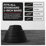 10KG Weight Plates Fits All Standard 1-Inch Bars details & Icon.