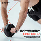 Ab Wheel Roller, Push UP Stands & Skipping Rope Bundle