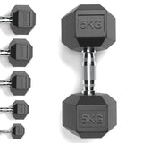 Rubber Encased Cast Iron Hex Dumbbells 5KG Main IMG.