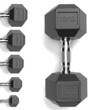 Rubber Encased Cast Iron Hex Dumbbells 15KG Main IMG.