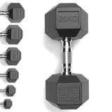 Rubber Encased Cast Iron Hex Dumbbells 25KG Main IMG.