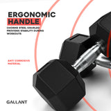 Rubber Encased Cast Iron Hex Dumbbells Ergonomic Handle.